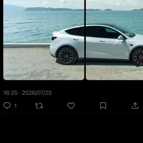 X・Instagram向けに分割したパノラマ投稿のイメージ